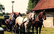 Historické fotografie z Horek