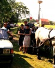 Historické fotografie z Horek