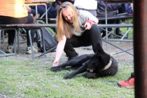 Okrsková soutěž Horky 2019