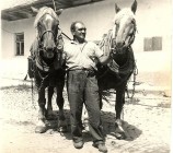 Historické fotografie z Horek