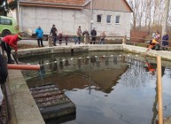 Horecký výlov kaprů 2025